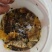 西双版纳野生树叉蜂