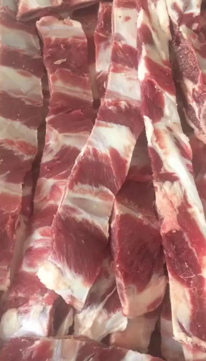 牛肋排。国产纯干牛肋排，一件起发，量大从优。