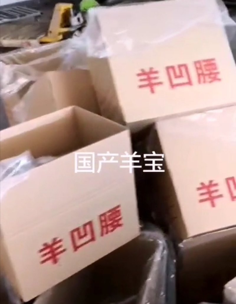 羊宝羊蛋，全国可发，冷冻物流，量大从优