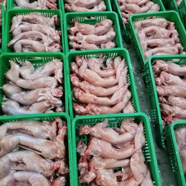 兔肉，大型养兔场供应，现杀鲜冻，常年供应，价格保持不变