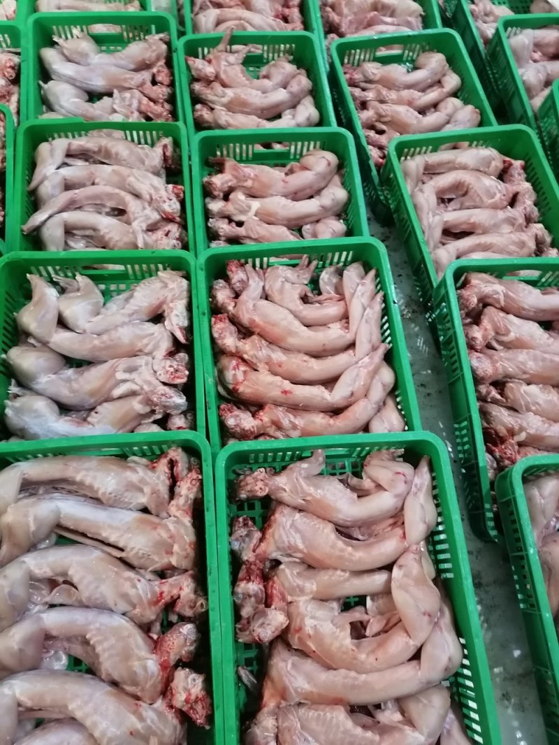 兔肉，大型养兔场供应，现杀鲜冻，常年供应，价格保持不变