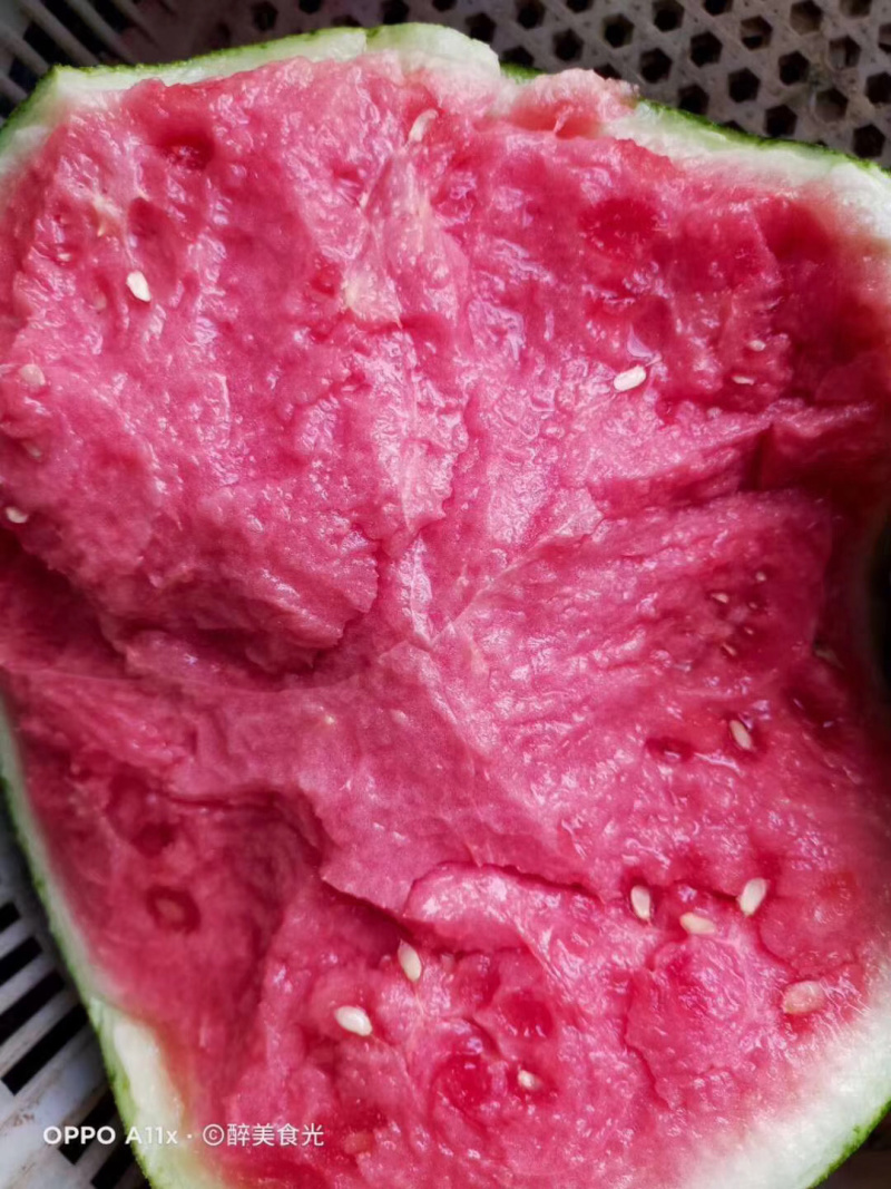 云南美都西瓜，熟悉各大产区，一手货源，业务能力强，专业