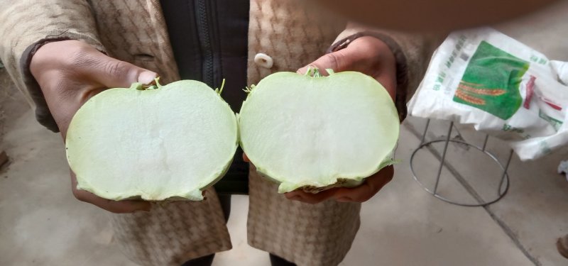 水果苤蓝