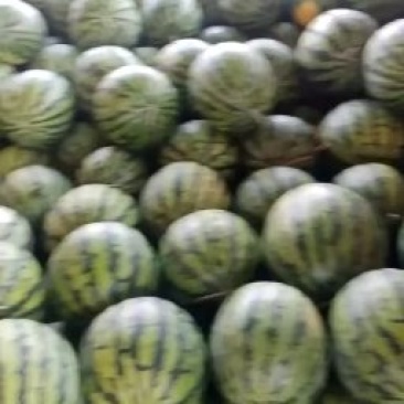 精品美度，产地直销，品种齐全，个头大，皮薄，肉厚，甜度高