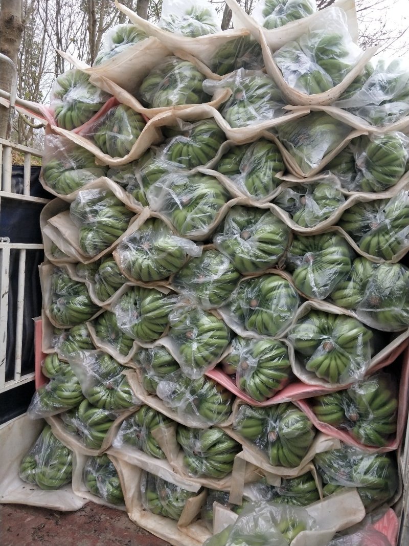 珍珠棉垫～香蕉条蕉专用棉垫～毛毯蕉袋泡沫板气泡膜加厚防震