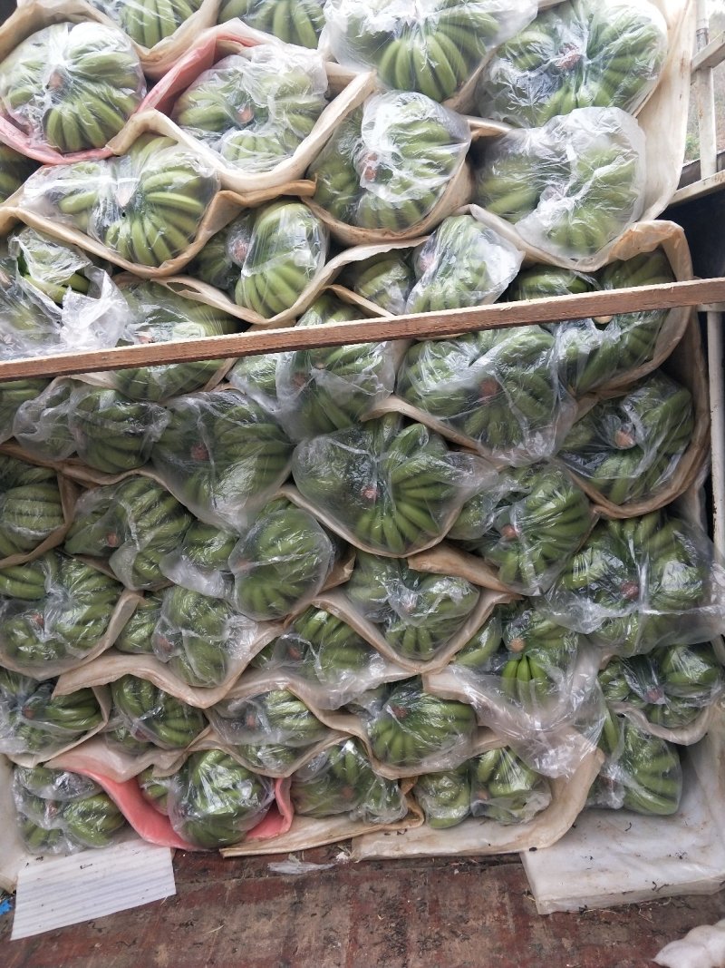 珍珠棉垫～香蕉条蕉专用棉垫～毛毯蕉袋泡沫板气泡膜加厚防震