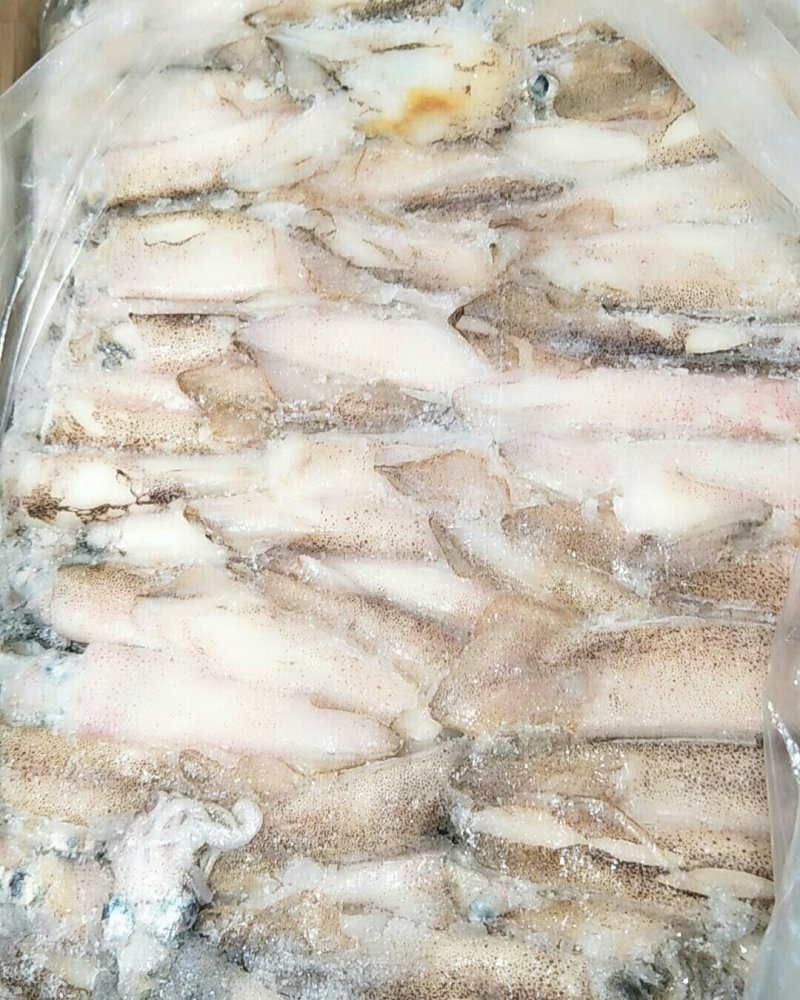 笔管鱼新鲜上岸鲜活速冻