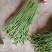翠绿色豆角种子豇豆种颜色绿无鼠尾不鼓籽