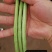 翠绿色豆角种子豇豆种颜色绿无鼠尾不鼓籽
