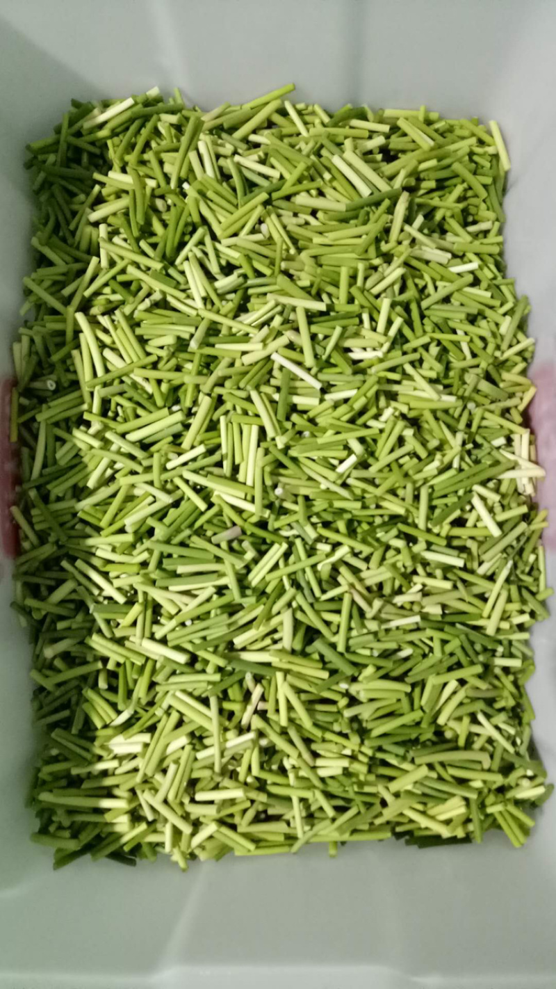 优质芹菜段，优质芹菜丁，优质去叶芹菜，一级产品，