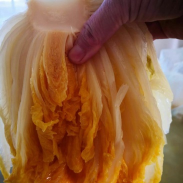 东北酸菜