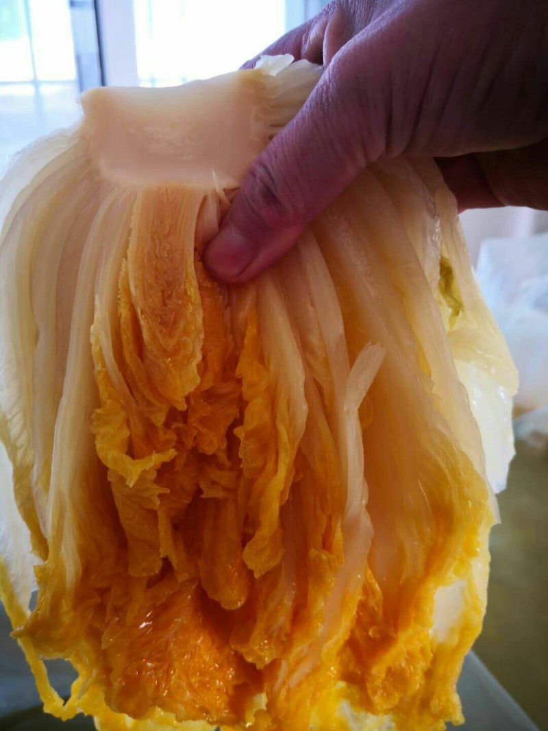 东北酸菜