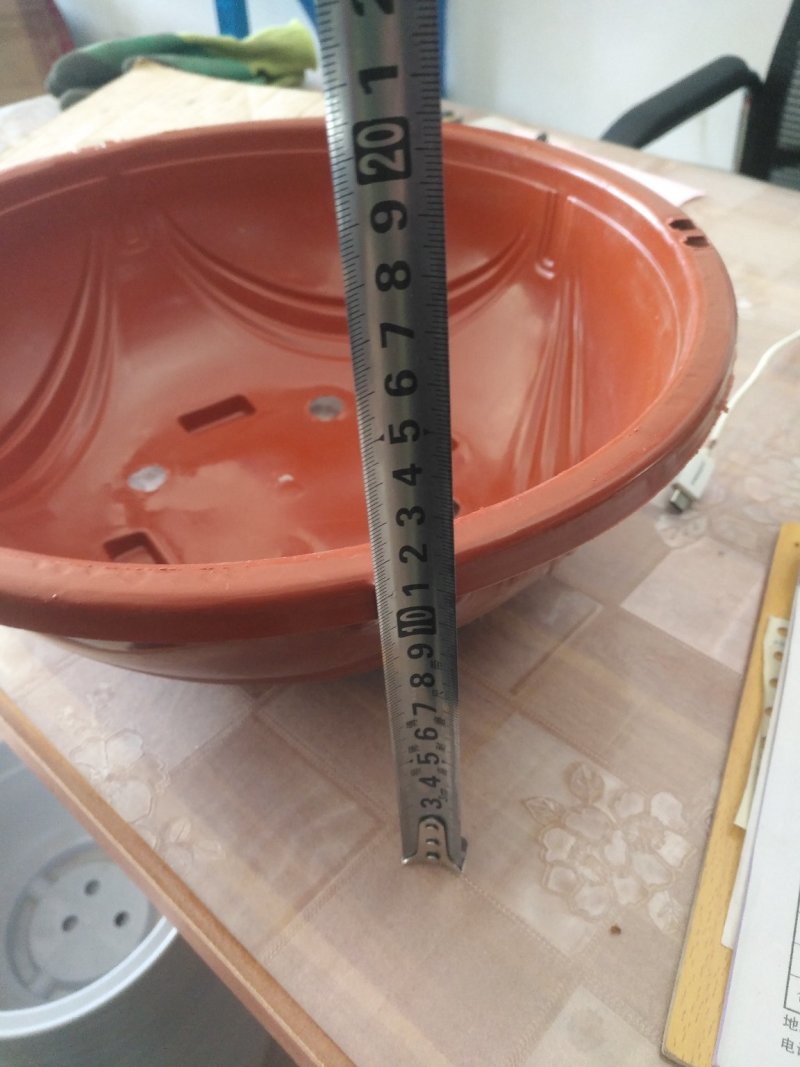 绿萝盆适合种植基地或者家庭绿萝种植