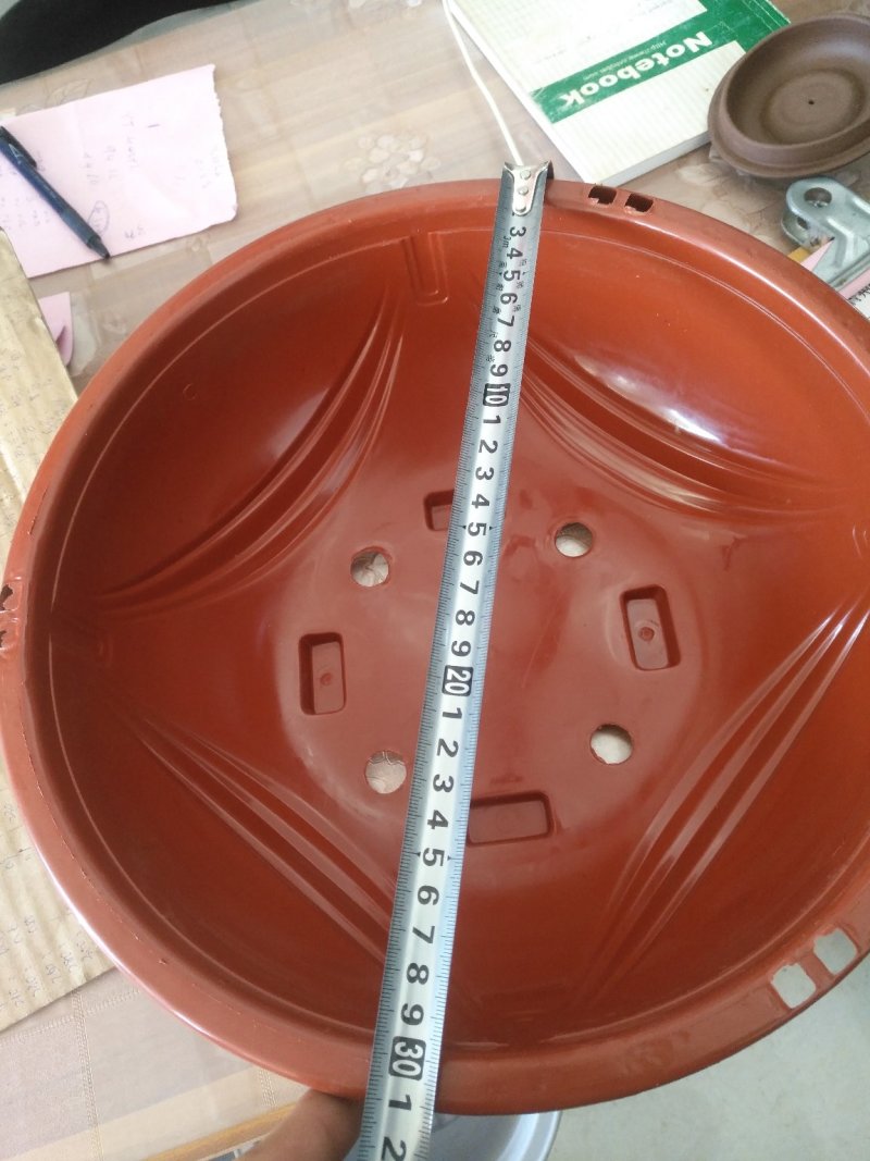 绿萝盆适合种植基地或者家庭绿萝种植