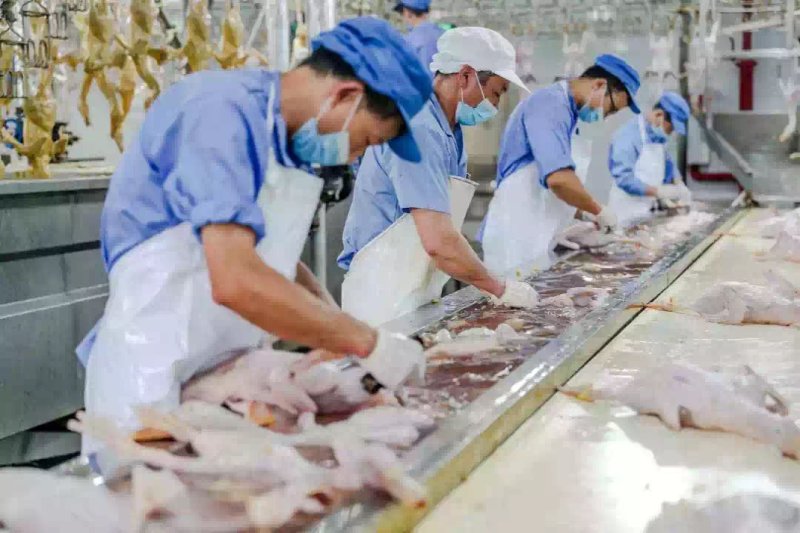 广州鸭肉批发，质优价廉，工厂加工现杀现卖