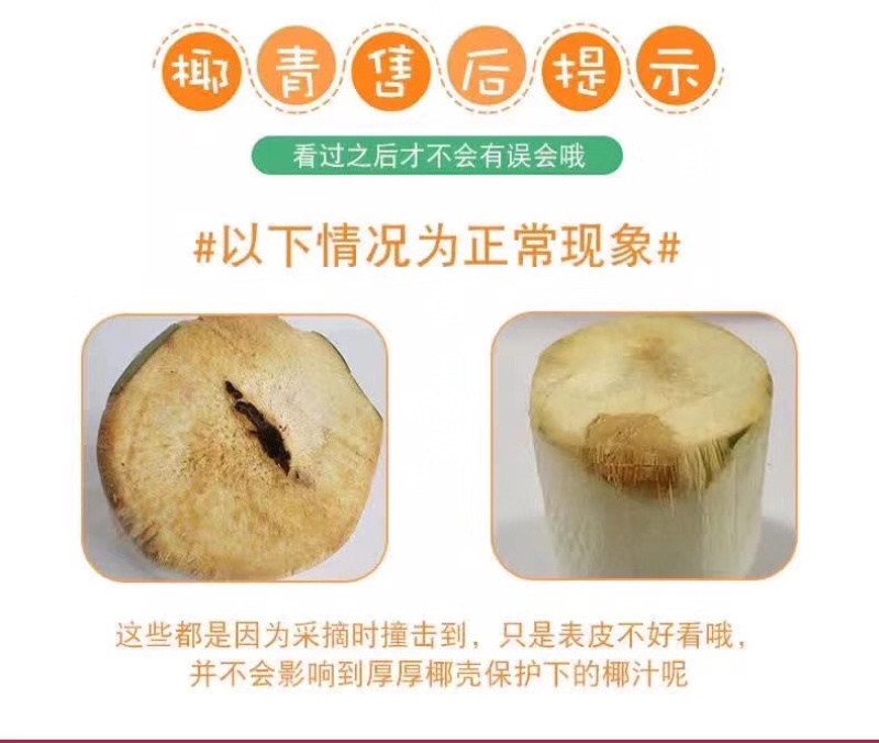 海南椰青一件代发无痕发货