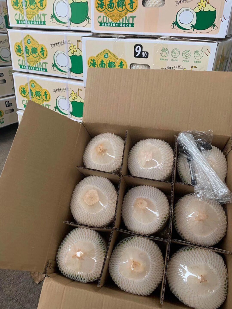 海南椰青一件代发无痕发货
