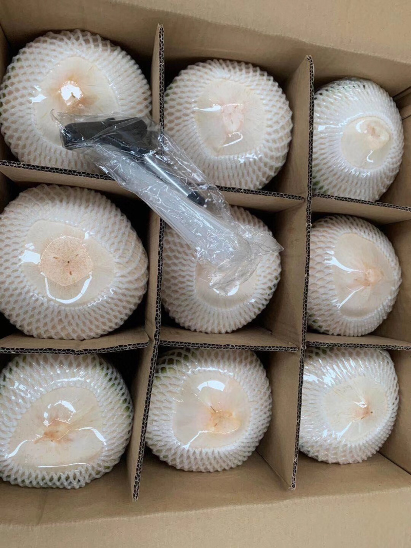 海南椰青一件代发无痕发货