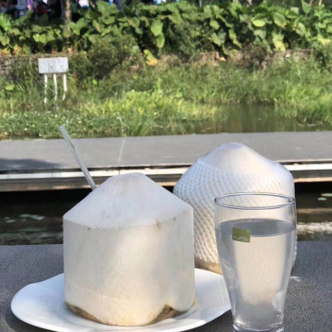 海南椰青一件代发无痕发货