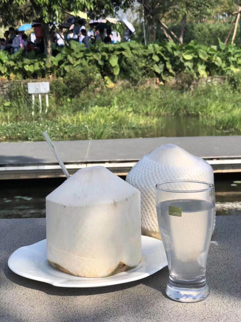 海南椰青一件代发无痕发货