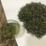 东山碧螺春绿茶、红茶