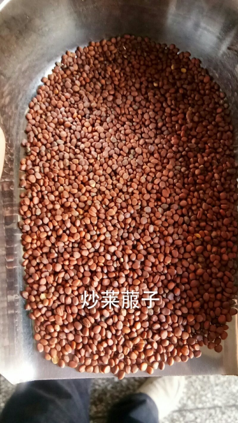 莱菔子炒莱菔子萝卜子无硫干货无杂质净货中药材