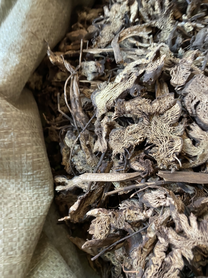 升麻东北货产地直销量大从优各种规格中药材