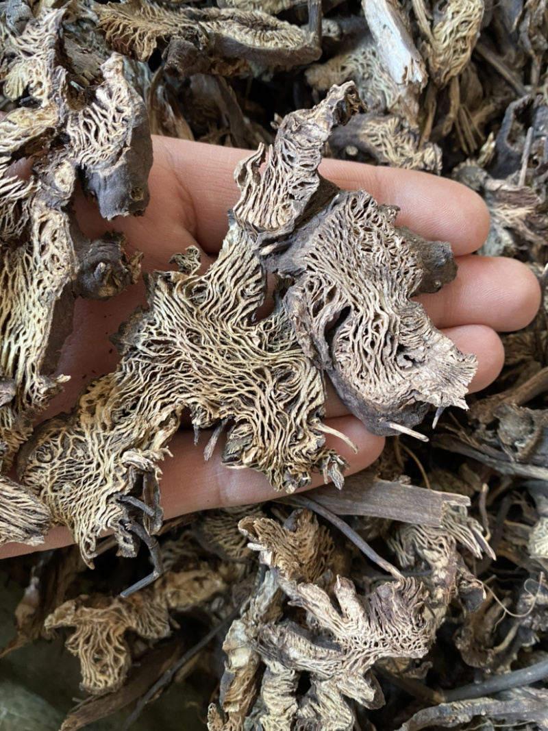 升麻东北货产地直销量大从优各种规格中药材
