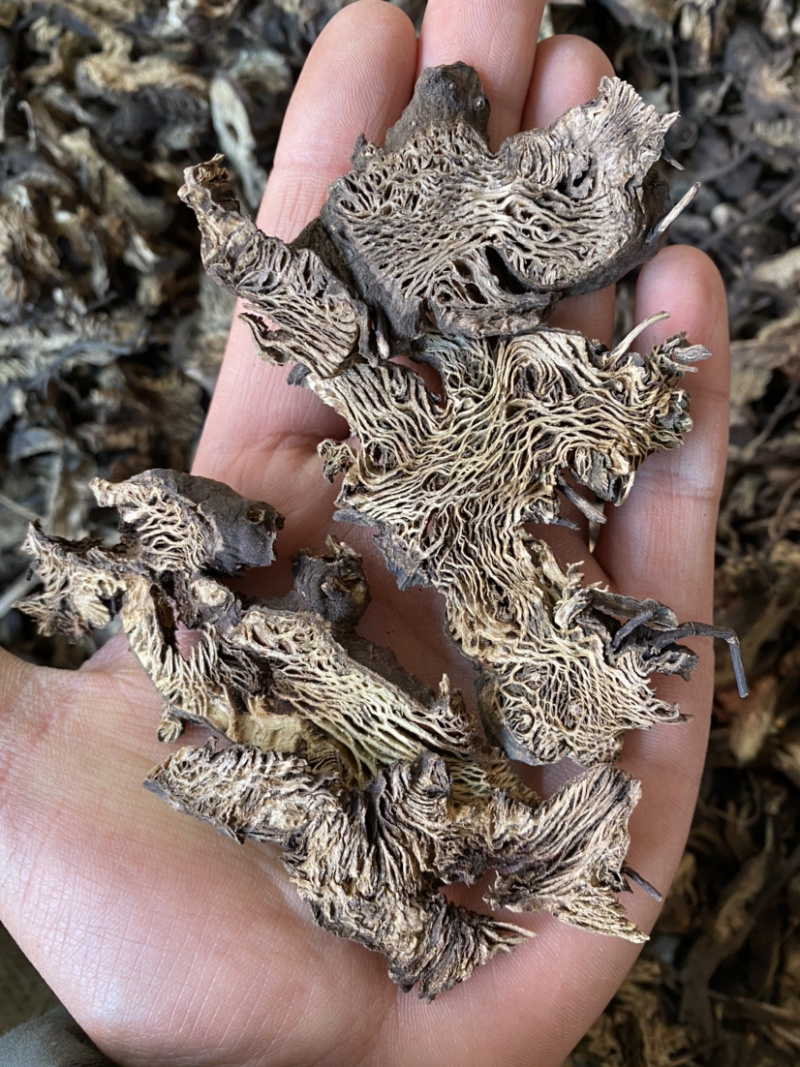 升麻东北货产地直销量大从优各种规格中药材
