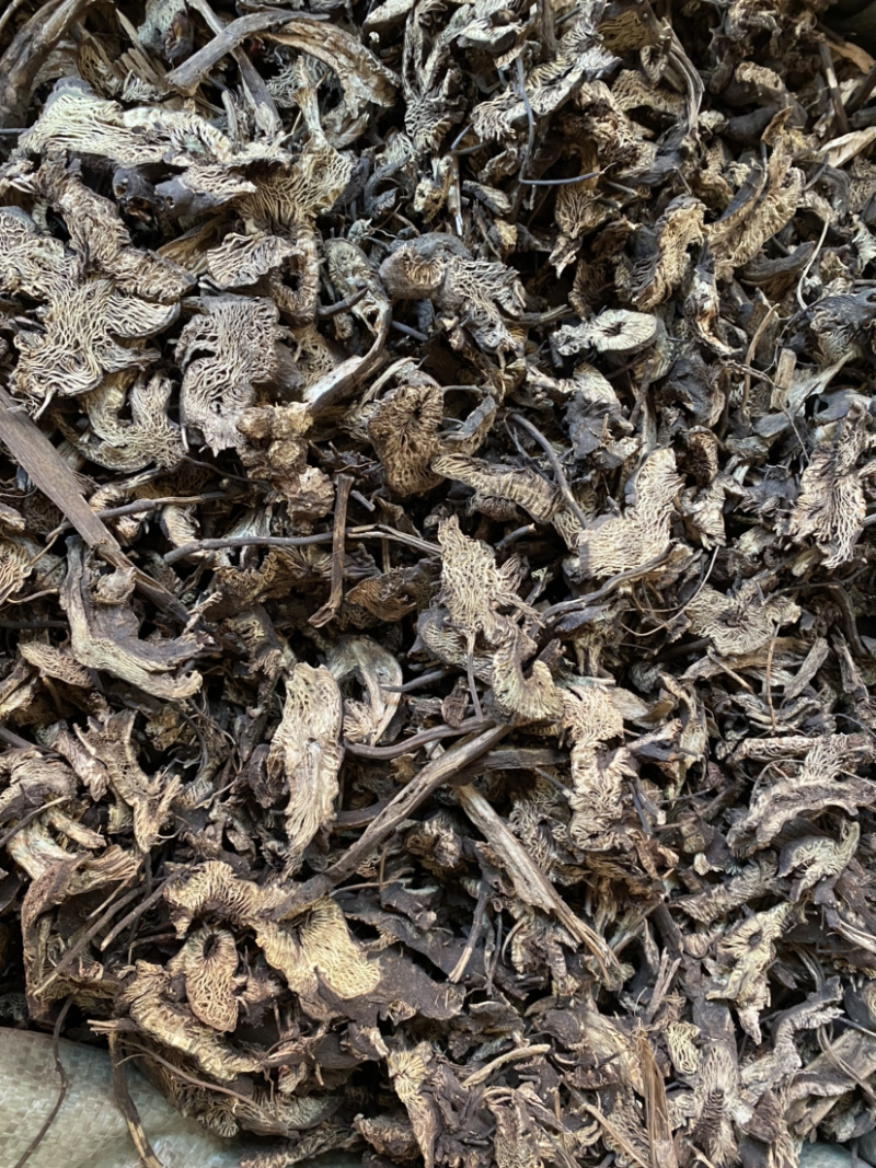 升麻东北货产地直销量大从优各种规格中药材