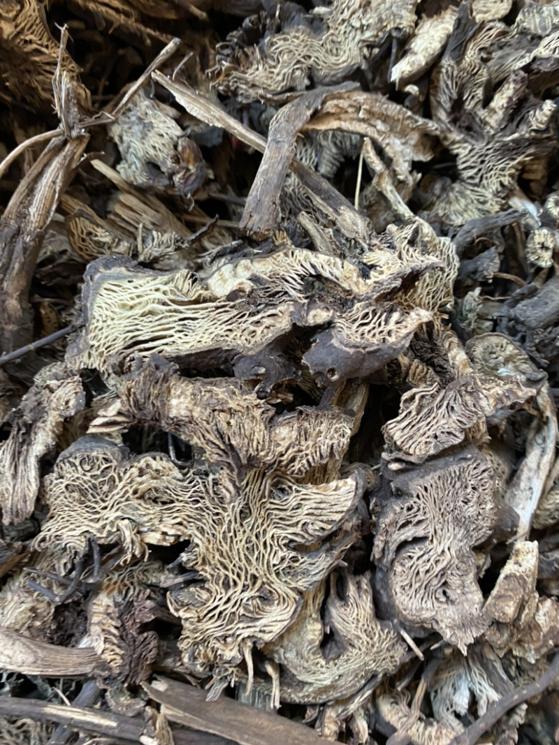 升麻东北货产地直销量大从优各种规格中药材