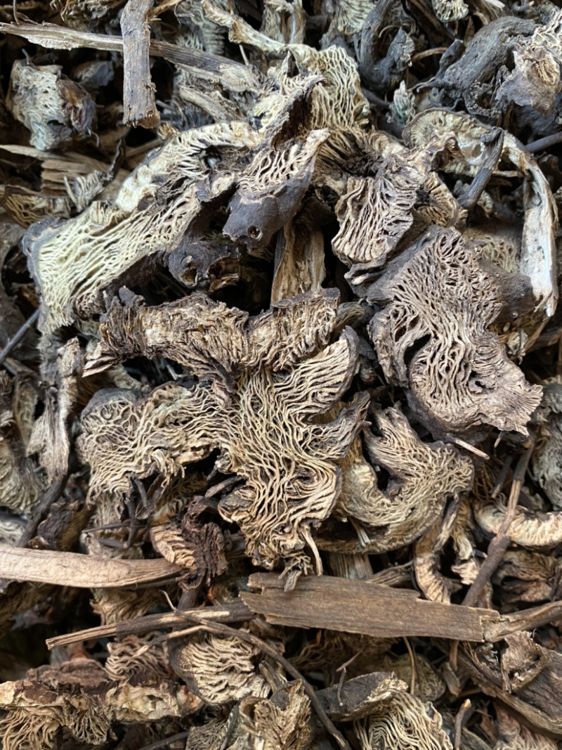 升麻东北货产地直销量大从优各种规格中药材