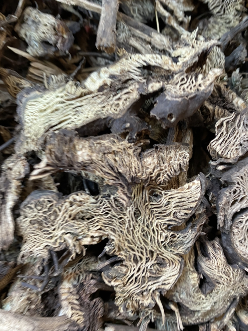 升麻东北货产地直销量大从优各种规格中药材