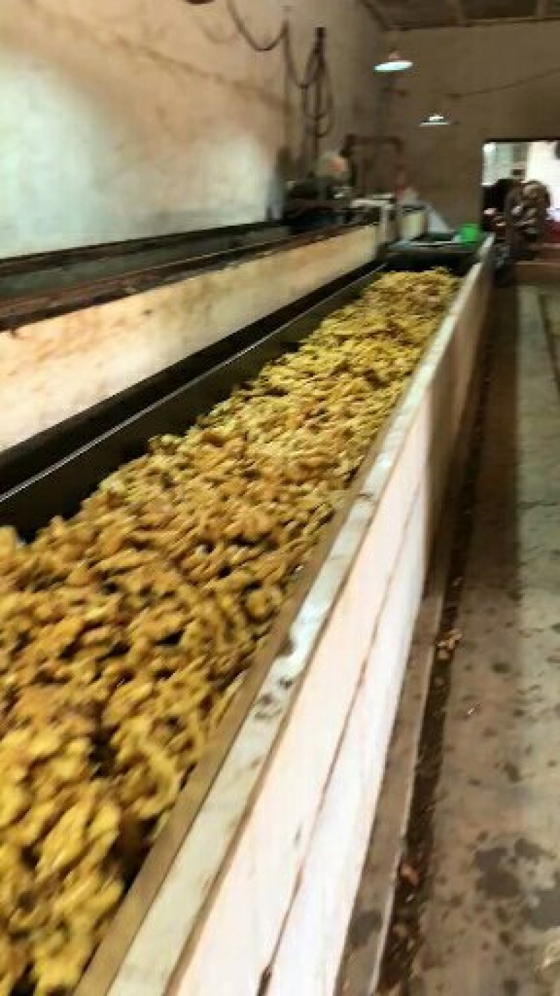 山东优质生姜基地批发
