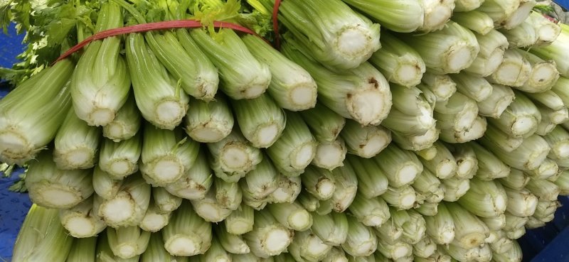 芹菜