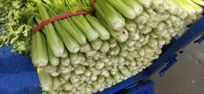芹菜