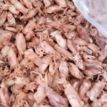 即食海兔。(味道好，营养高，价格低)