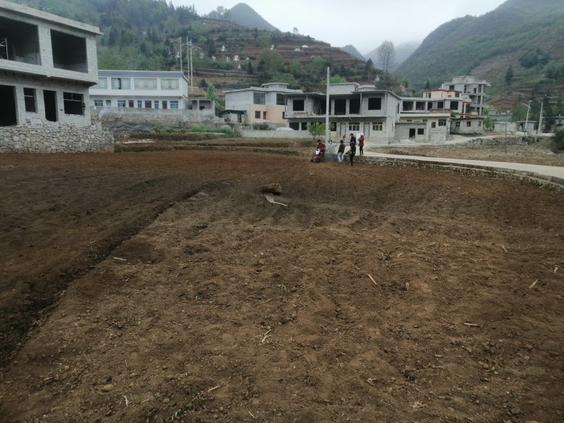 白经