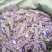 葛花菜葛花菜葛花菜葛花菜葛花菜葛花菜葛花菜葛花菜葛花菜葛