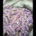 葛花菜葛花菜葛花菜葛花菜葛花菜葛花菜葛花菜葛花菜葛花菜葛