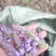 葛花菜葛花菜葛花菜葛花菜葛花菜葛花菜葛花菜葛花菜葛花菜葛