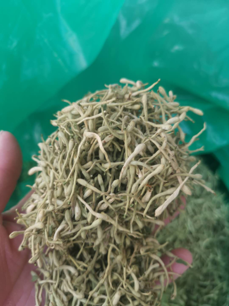 金银花二花湖南金银花一手货源产地直销量大从优