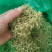 金银花二花湖南金银花一手货源产地直销量大从优