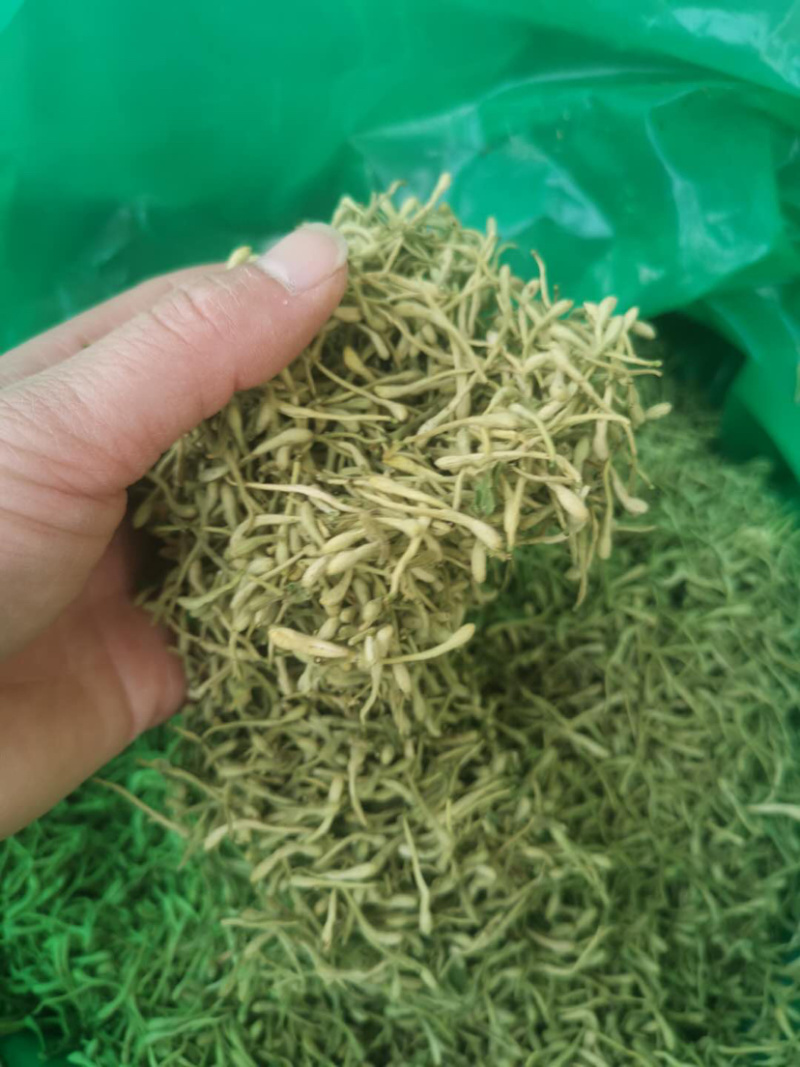金银花二花湖南金银花一手货源产地直销量大从优