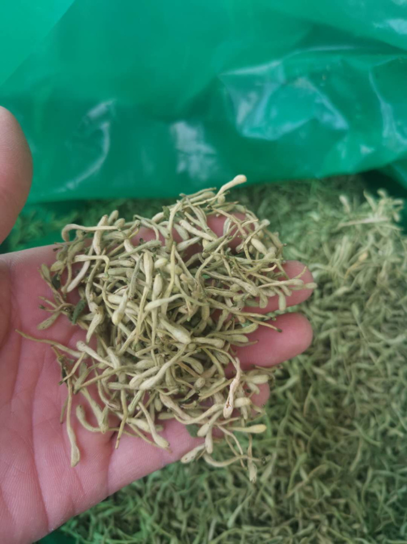 金银花二花湖南金银花一手货源产地直销量大从优