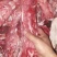 厂家直销精品多肉乳牛脊骨，一手货源质量保证证件齐全量大优