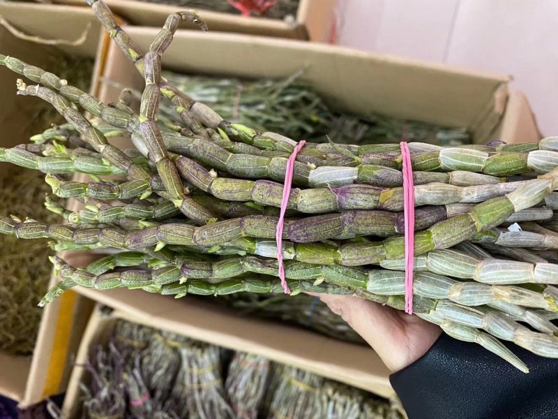 【爆款】浙江铁皮石斛鲜条，特级特粗短条量大从优
