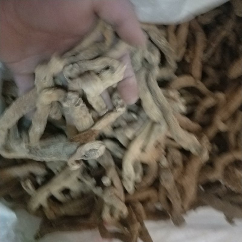 玉竹中药材玉竹东北小玉竹条500克干净生晒无硫