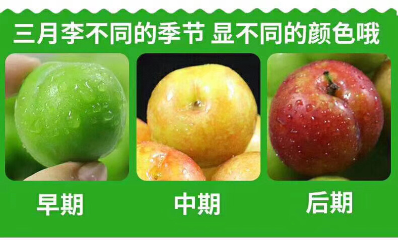 三月李。多多买菜。美团优选。电商合作