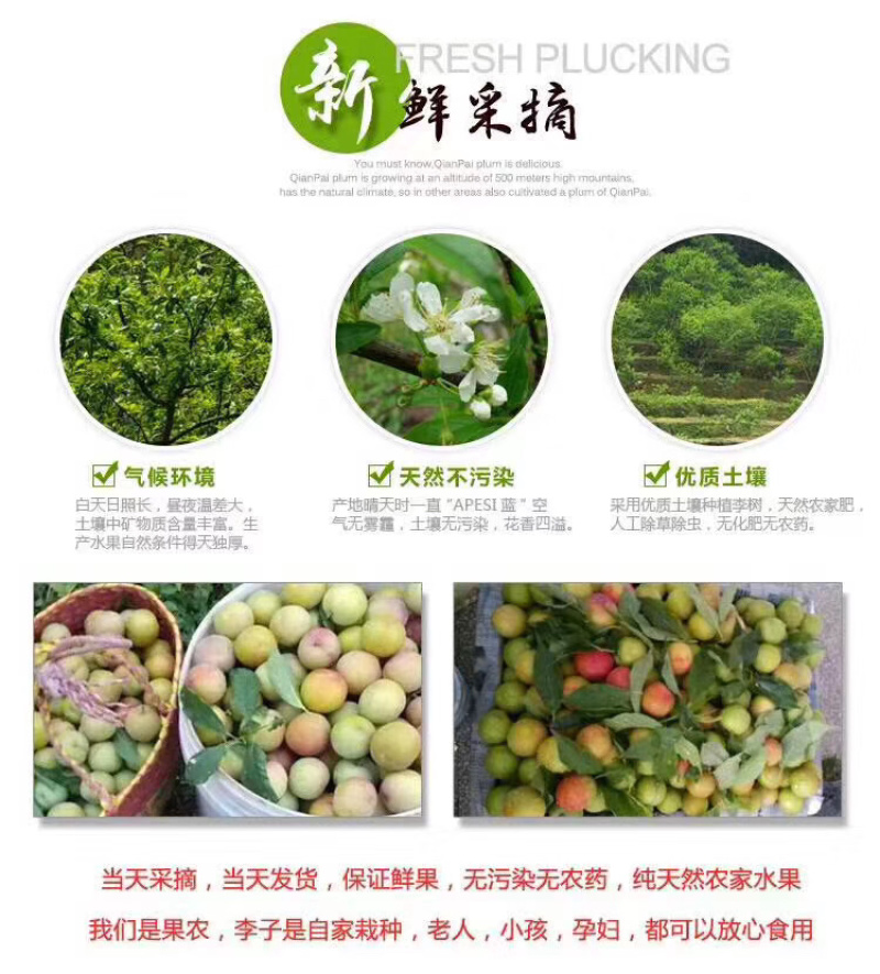 三月李。多多买菜。美团优选。电商合作